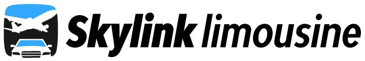 cropped skylink logo