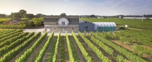 niagara world wine tours